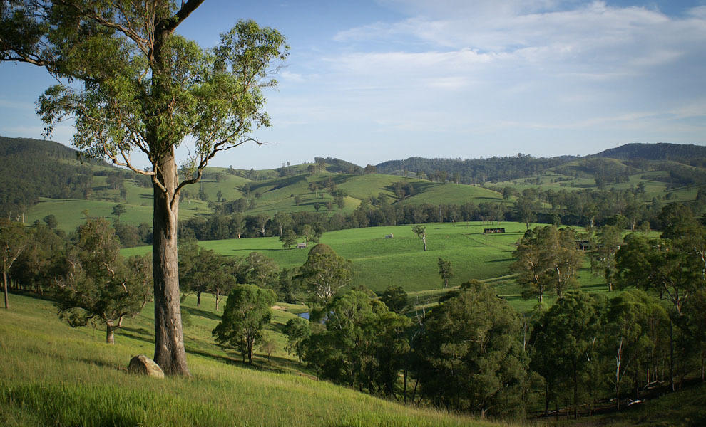 Riverwood Downs Of Barrington Tops Monkerai Extérieur photo